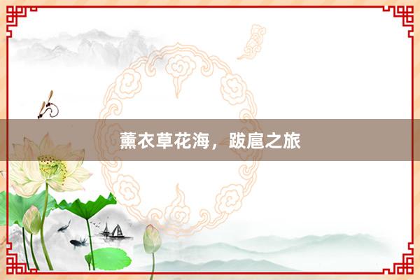 薰衣草花海，跋扈之旅