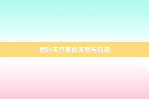 香叶天竺葵的芳醇与应用